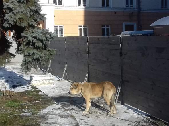 В Виннице снесли памятник Тарасу Шевченко