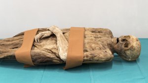 Борис Джонсон виявився правнуком таємничої мумії.