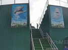 Ликвидация дельфинария в Ялте. Владелец "кримнашист" Олег Зубков.