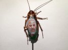 Художник из Мексики Кристи Рамос рисует на мертвых тараканах портреты руководителей государств