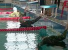 Останні фото зображують змагання з плавання з автоматом Калашнікова на спині