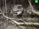Из-за катастрофического снегопада в Москве падают деревья и гибнут люди