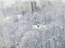 Через катастрофічний снігопад у Москві падають дерева та гинуть люди