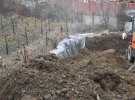 В аннексированном Россией Крыму, строители уничтожают виноградники «Массандры», на землях филиала «Ливадия».