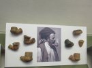 Глиняні частини козацьких люльок стали експонувати в музеї в Полтаві