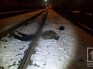 На  Дніпропетровщині на коліях  знайдено труп чоловіка, перерізаний навпіл
