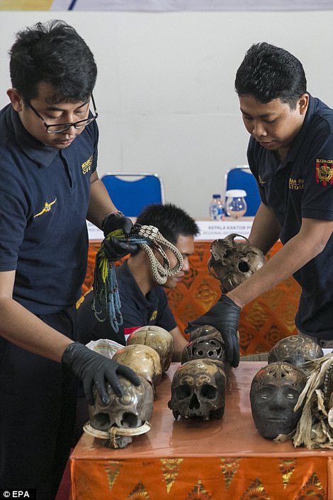 У посилках під виглядом 2 дюжин штучних черепів пересилали справжні людські рештки