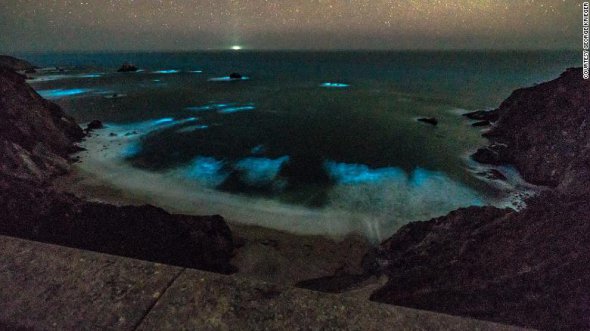 Через концентрацію фітопланктону в воді під моста Биксби-Крік хвилі океану світяться в темряві