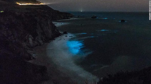 Через концентрацію фітопланктону в воді під моста Биксби-Крік хвилі океану світяться в темряві