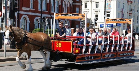 В городе Дуглас, в американском штате Мэн курсирует конный трамвай
