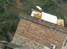 В интернете распространяются кадры с ускорителями, которые упали на крыши домов