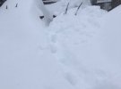 В Японии выпало более 4 метров снега