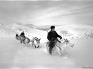 Фотограф  зробив знімки повсякденного життя кочового народу північної Монголії