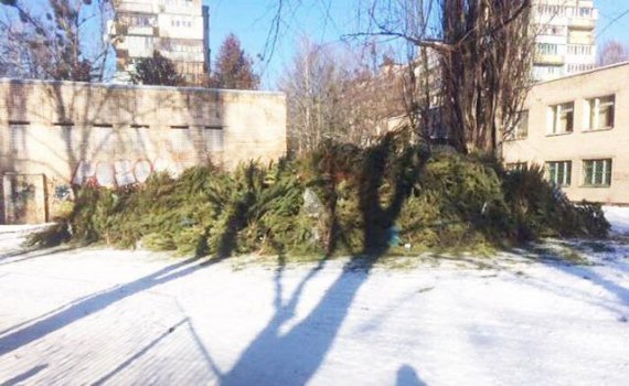 Комунальники провели утилізацію і переробку купи ялинок, які залишилися після свят
