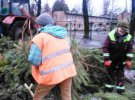 Комунальники провели утилізацію і переробку купи ялинок, які залишилися після свят