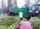 Комунальники провели утилізацію і переробку купи ялинок, які залишилися після свят