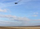 Истребители МиГ-29 и учебно-тренировочные самолеты L-39 в небе над Николаевом проводят тренировочные полеты