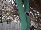Боевики обстреляли окраину поселка Луганское