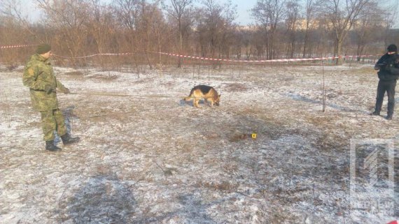 В Кривом Роге пес откопал голову ребенка