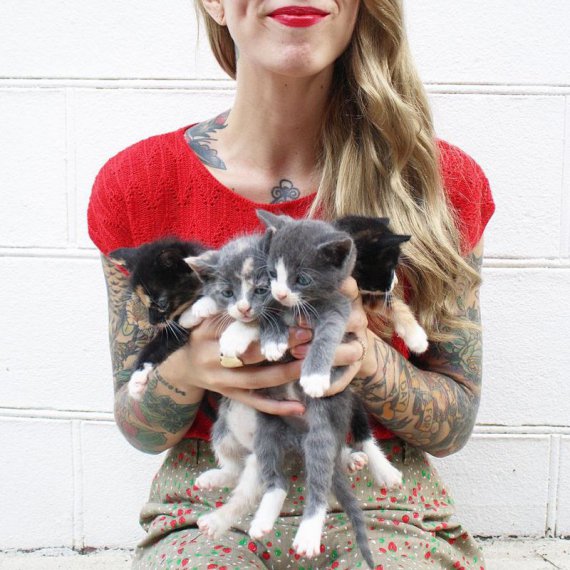 Ханна Шоу выхаживает брошенных котят, рождающихся от нестерилизованных кошек