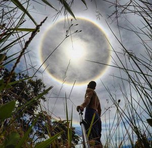 В Бразилии зафиксировали природное явления Гало вокруг Солнца