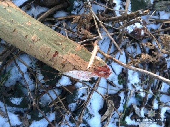 Не поделили дом: у Винницкой области женщина заказала убийство старшего сына