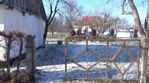 Не поделили дом: у Винницкой области женщина заказала убийство старшего сына