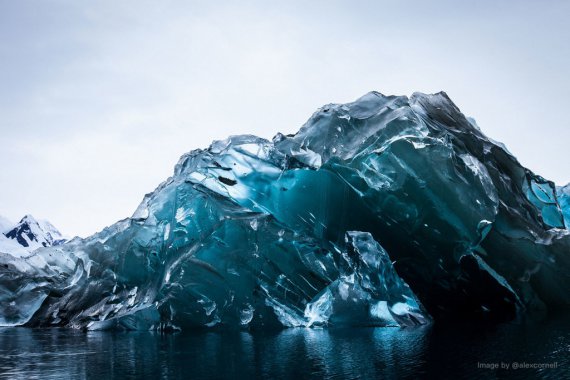 Фотограф зняв фантастично красивий айсберг в Атлантичному океані. Фото: Алекс Корнелл