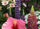 Квітень у Парижі - час цвітіння клумб, квіткових ярмарків та мистецьких виставок