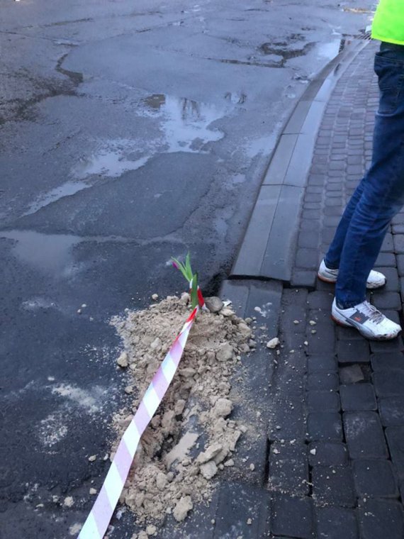 Цветы в ямах - оригинально привлекли внимание к проблемам дорог в Ивано-Франковске