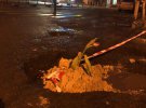 Квіти в ямах - оригінально привернули увагу до проблем доріг в Івано-Франківську