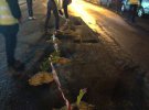 Цветы в ямах - оригинально привлекли внимание к проблемам дорог в Ивано-Франковске