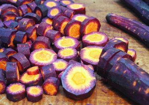Морква сорту Драгон має фіолетові плоди з жовтою м’якоттю. Виростає до 25 сантиметрів, діаметром майже 30 мілі­метрів 