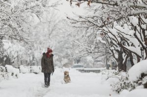 На выходные прогнозируют сильные снегопады и метели: обещают расчищать все дороги по области