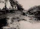 Жовква в период Первой мировой войны