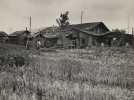 Більшість повій в 1940-ві роки походили з бідних районів Японії