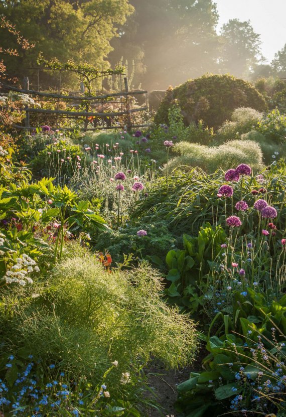 Победитель в категории «Прекрасные сады»  Фотограф: Nicky Flintt. Локация: Восточный Суссекс, Англия