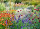 Финалист в категории «Прекрасные сады» Фотограф: Joe Wainwright. Локация: Bluebell Cottage, Чешир, Англия