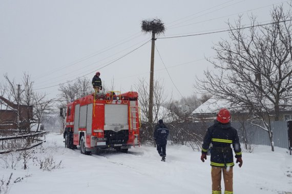 Спасатели помогают аистам в Черновицкой обл