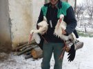 Сафет Халид из села Зарица, обл. Русе, Болгария, подбирал замерзших птиц и относил к себе домой, чтобы переждали холода в тепле