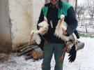 Сафет Халід із села Зариця, обл. Русе, Болгарія, підбирав змерзлих птахів і відносив до себе додому, щоб перечекали холоди в теплі