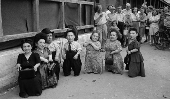 Сім'я карликів Овіц потрапила під час Другої світової війни у табір Аушвіц. Там їх досліджували