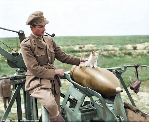 Британські солдати Першої світової війни зі своїми тваринами