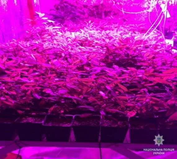 Чоловікові оголосили про підозру і обрали запобіжний захід у вигляді цілодобового домашнього арешту.