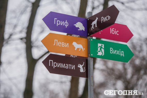 В Киевском зоопарке готовятся к открытию нового сезона