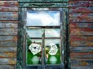 Вікно з села Козероги Чернігівського району Чернігівської області, 2017