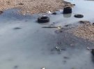 Пляж в Коктебеле затопило нечистотами