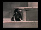 Кадри з культфільму "Людина і мавпа" Андрія Вінницького, який вважався втраченим