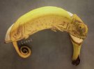 Стефан Бруше малює картини на бананах протягом 7 років