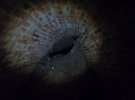 Во время реконструкции центральной площади Умани обнаружили подземный тоннель